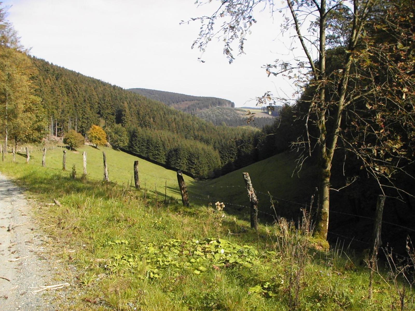 Sonneneck Otel Winterberg Dış mekan fotoğraf